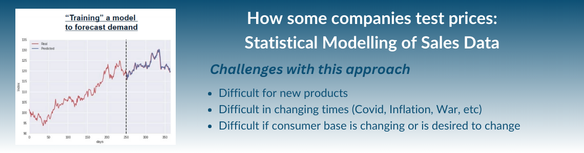 TDPO - Challenges of Statistical Modelling of Sales Data