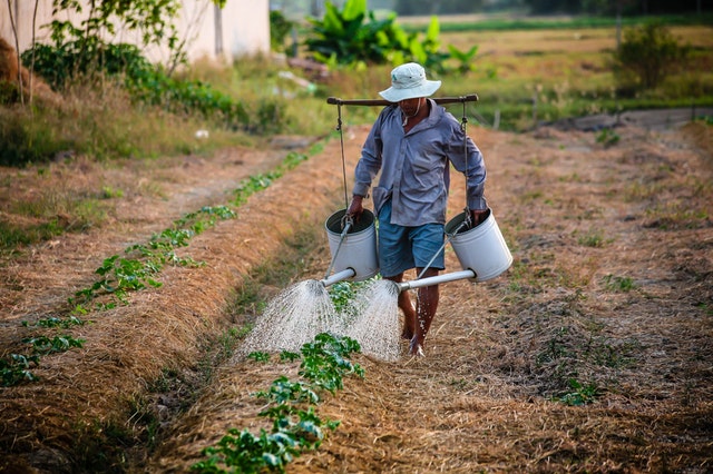 watering-watering-can-man-vietnam-162637 (1).jpeg